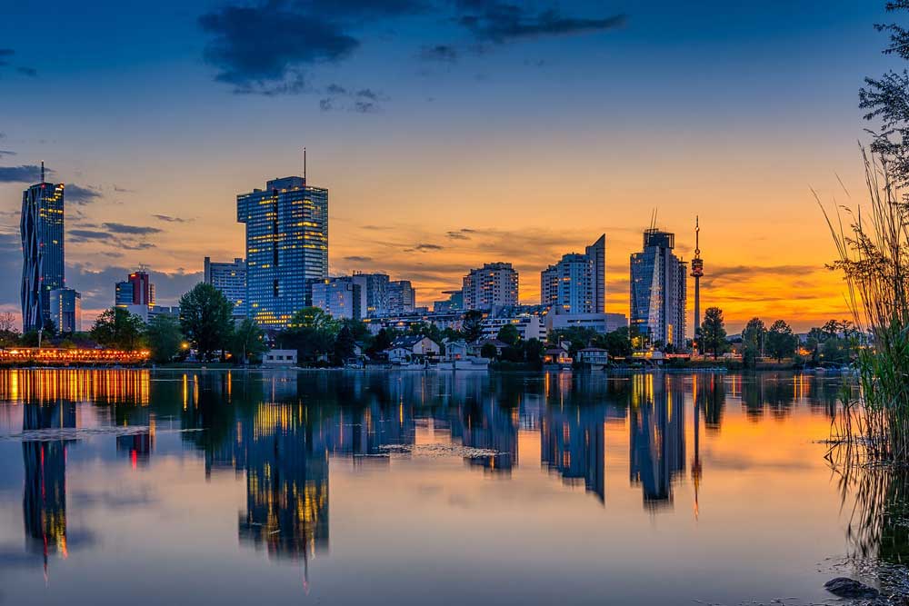 Schädlingsbekämpfung Wien schaedlingsbekaempfung wien